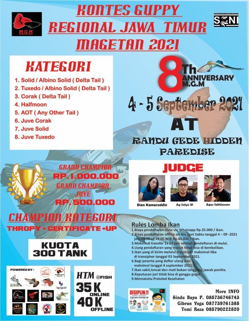 kontes_guppy_regional_jawa_timur_magetan.jpeg